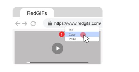 redgifs video downloader|CLI tool to download videos from redgifs.com